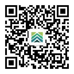 雄松華章品牌介紹 雄松華章品牌介紹